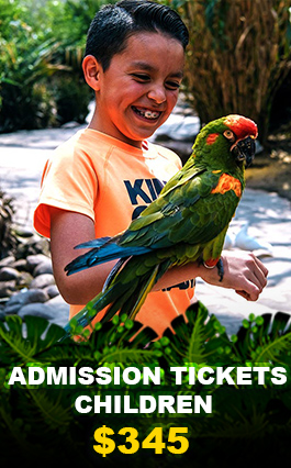 precio general CHILDRE